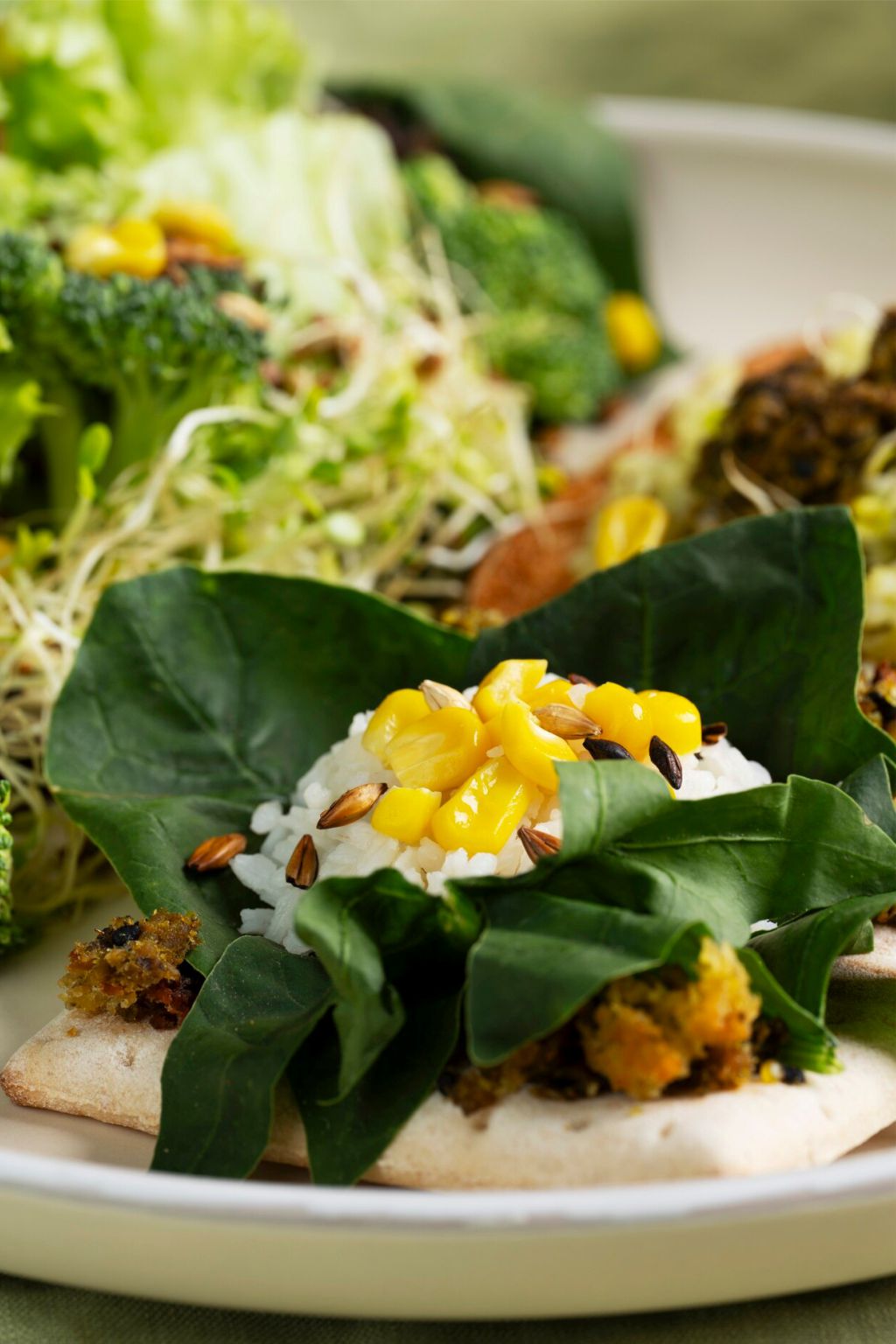 Pratos plant-based